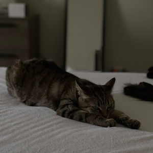 Meet your Posher, Salem